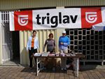 Podjetniska trojka Bolle Bled